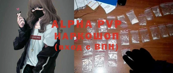 круглые Гусев