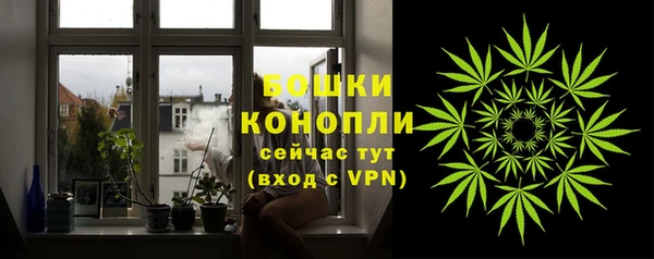сатива Бежецк