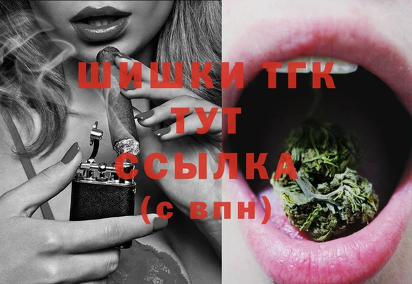 круглые Гусев