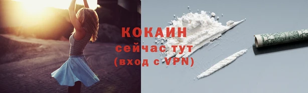 круглые Гусев
