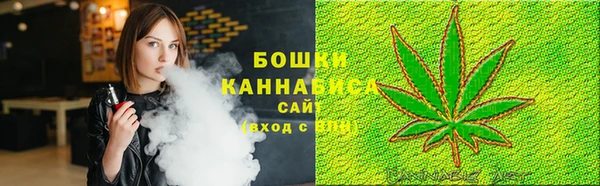 круглые Гусев