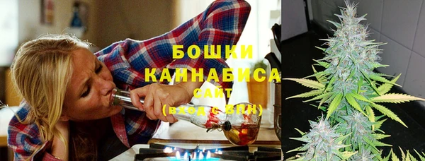 круглые Гусев