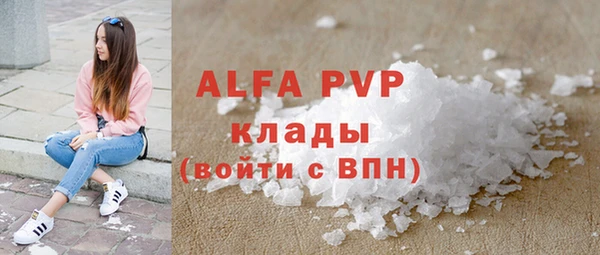 хмурый Белая Холуница