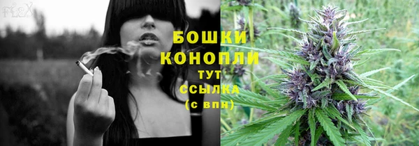 круглые Гусев